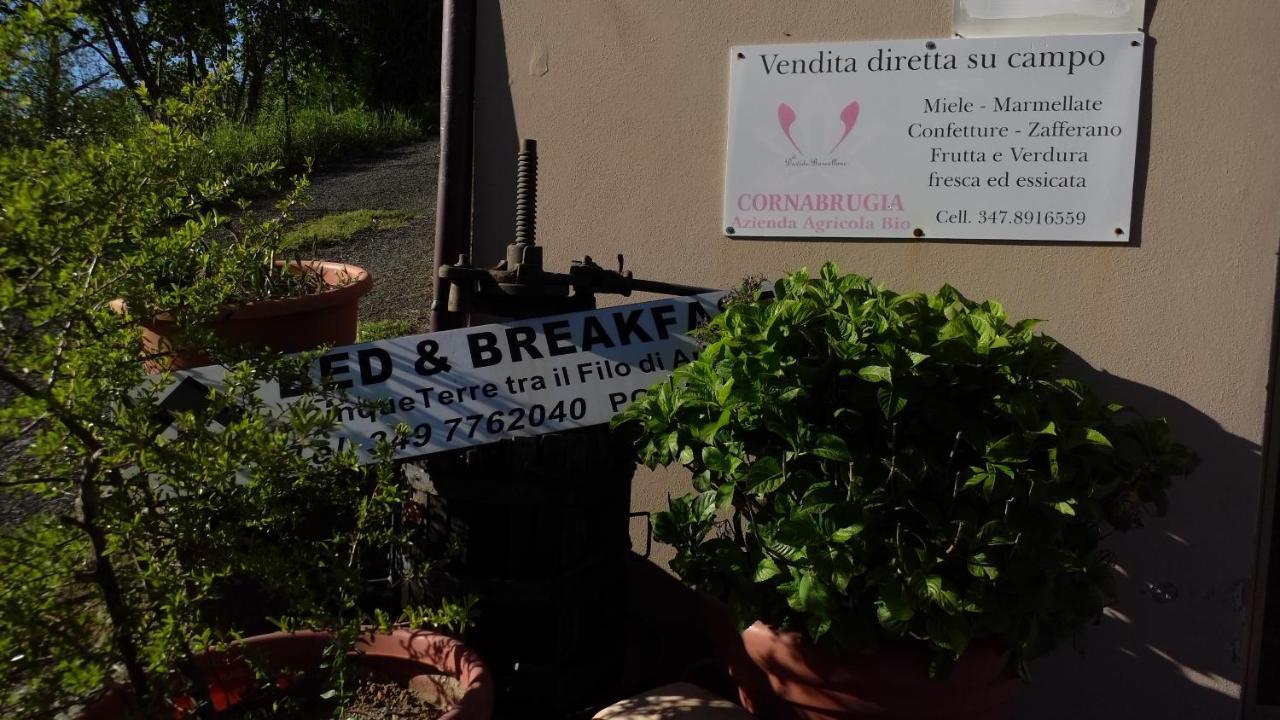 Cinque Terre Tra Il Filo Di Arianna Bed & Breakfast Рико дел Голфо ди Специя Екстериор снимка