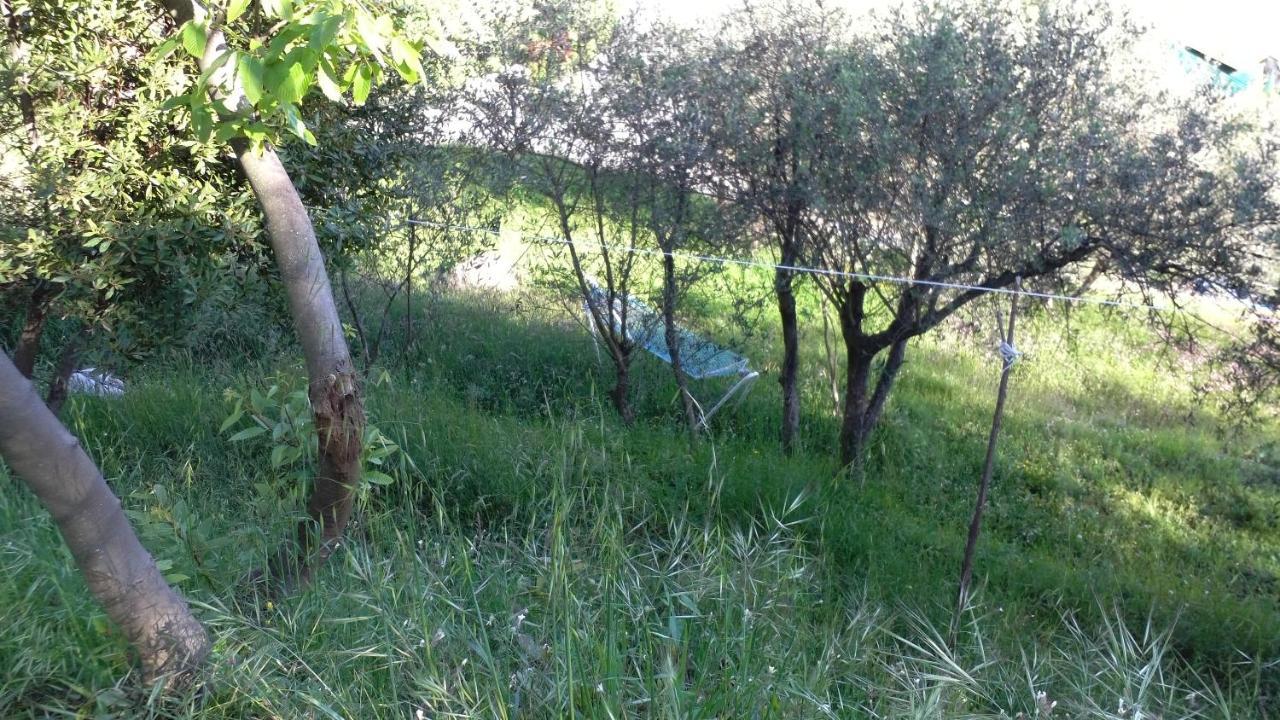 Cinque Terre Tra Il Filo Di Arianna Bed & Breakfast Рико дел Голфо ди Специя Екстериор снимка